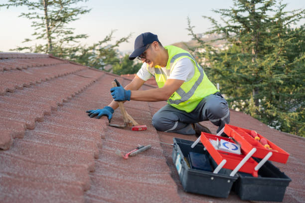 Best Roof Repair Services  in Shannon Hills, AR
